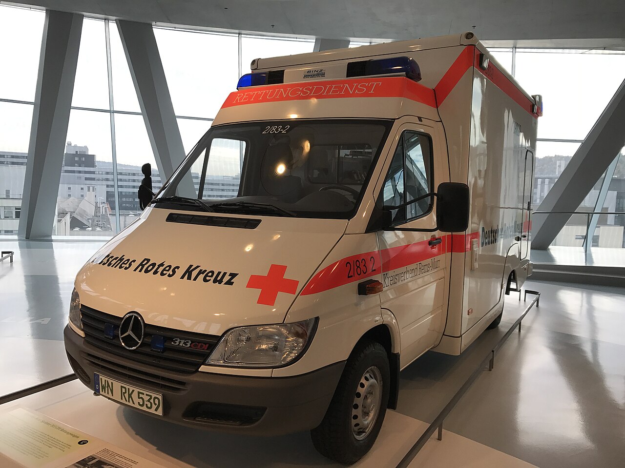 MERCEDES-BENZ 313