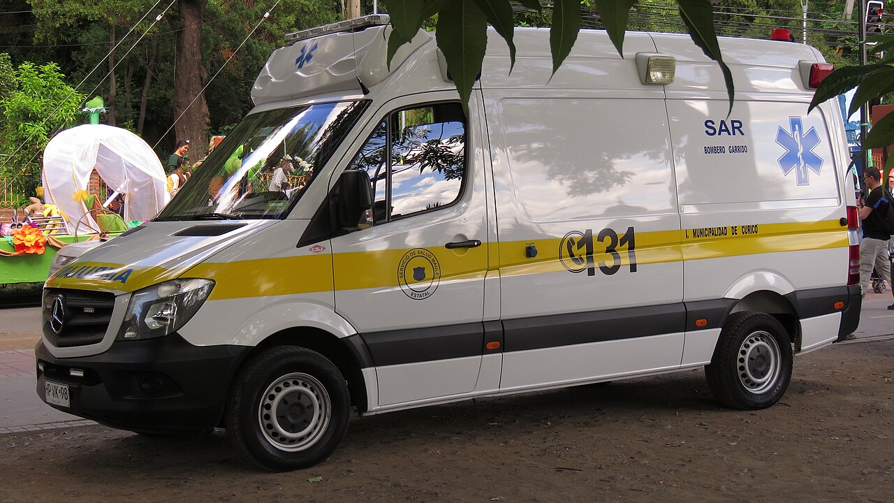 MERCEDES-BENZ 315